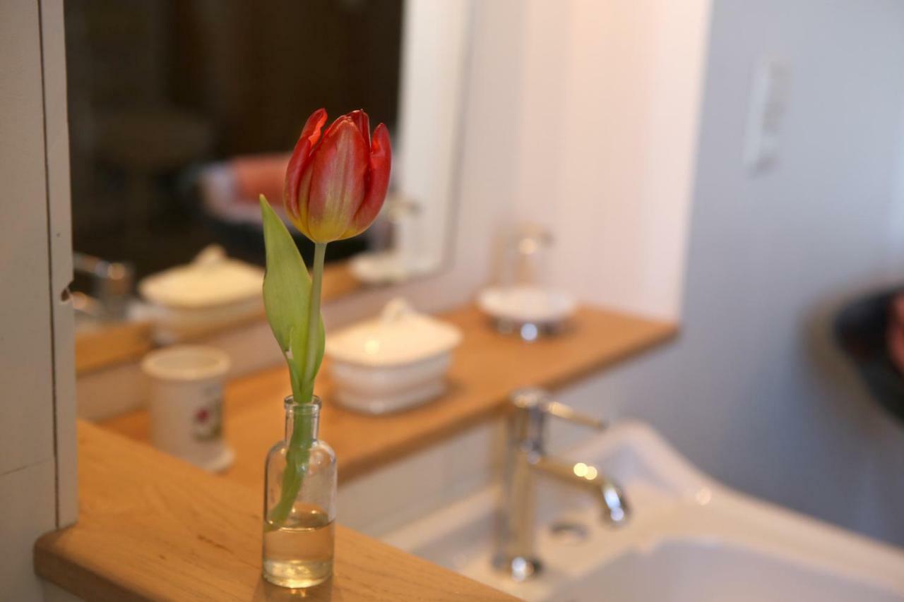 Parisot  Le Couvent De Neuviale Bed & Breakfast エクステリア 写真